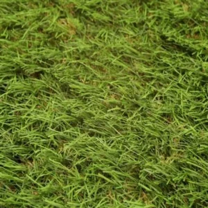 Boundary 38mm Artificial Grass