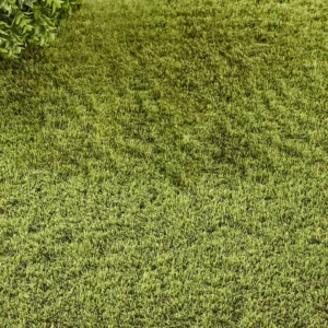 Cannes 38mm Artificial Grass