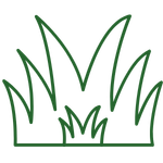 Comfortable, Cushioning & Healthy