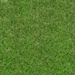 Witham 42mm Fake turf